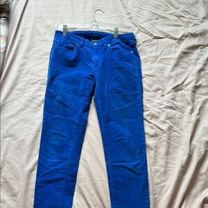 Patagonia Women's Blue Pants